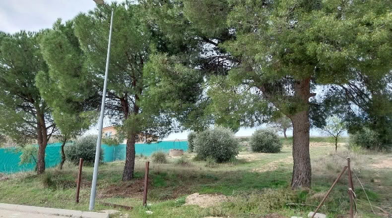 Community of Madrid - Colmenar de Oreja - 1300m2
