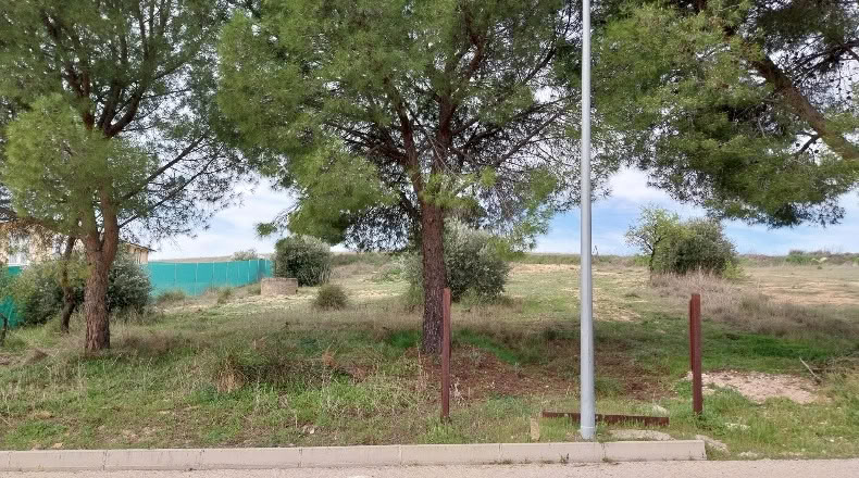 Community of Madrid - Colmenar de Oreja - 1300m2