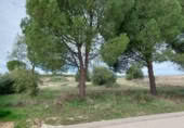 Suelo urbano en venta en la Calle Gallo, Colmenar de Oreja, ref: TR414889 foto