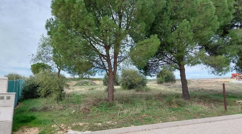 Community of Madrid - Colmenar de Oreja - 1300m2