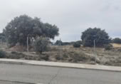 Urban land for sale on Avenida del Encinar, Zarzuela del Monte, ref: TR414888 photo