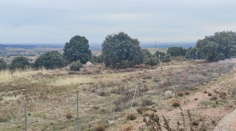 Segovia - Zarzuela del Monte - 726m2