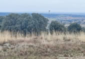 Urban land for sale on Avenida del Encinar, Zarzuela del Monte, ref: TR414888 photo