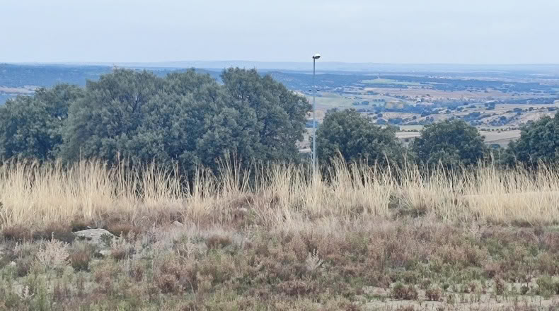 Segovia - Zarzuela del Monte - 726m2