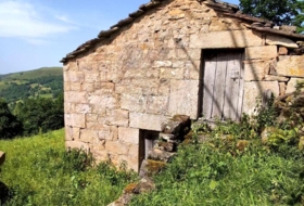 Foto 19