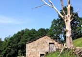 Finca rústica en venda a la España, San Pedro del Romeral, ref.: TR343060 foto