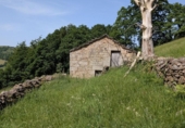Finca rústica en venda a la España, San Pedro del Romeral, ref.: TR343060 foto