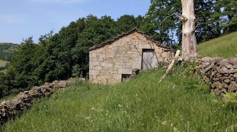 Cantàbria - San Pedro del Romeral - 8000m2