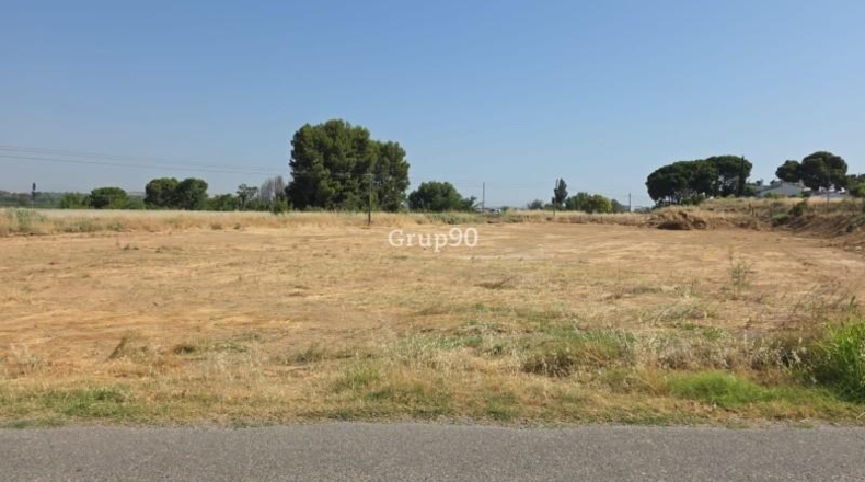 Lerida - Alcoletge - 4855m2