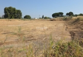 Parcela urbanizable en venta en la España, Alcoletge, ref: TR123146 foto
