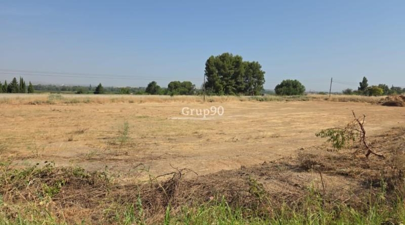 Lerida - Alcoletge - 4855m2