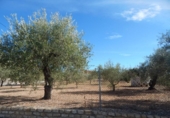 Parcela urbanizable en venta en la España, Ontinyent, ref: TR114569 foto
