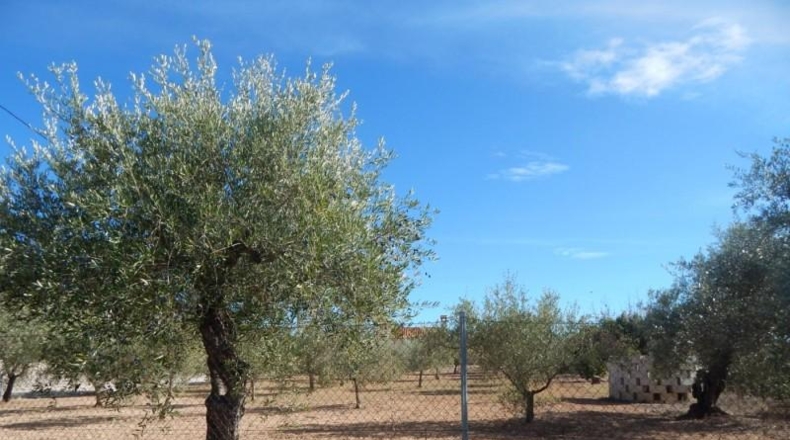 València - Onteniente - 2350m2