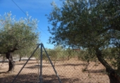 Parcela urbanizable en venta en la España, Ontinyent, ref: TR114569 foto