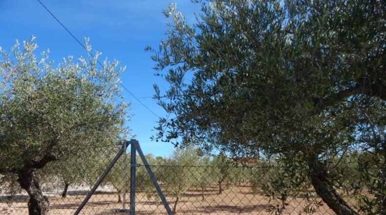 València - Onteniente - 2350m2