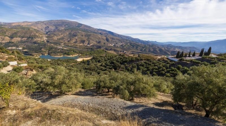 Granada - Pinos del Valle - 9018m2
