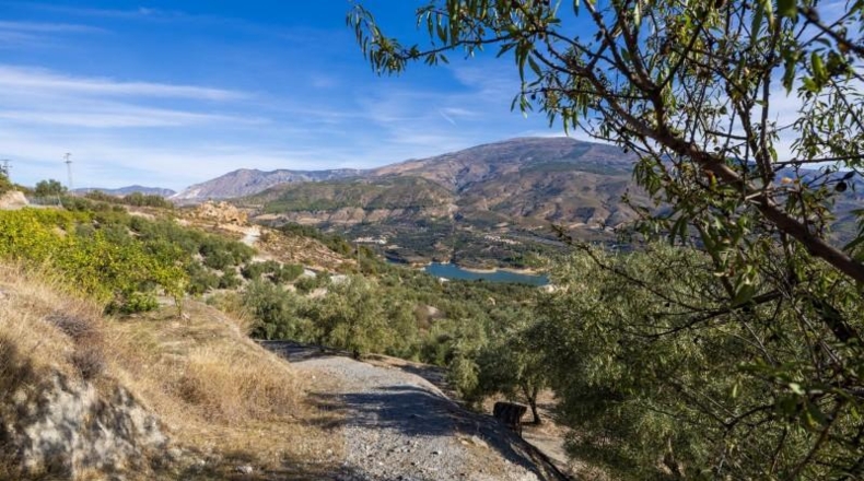 Granada - Pinos del Valle - 9018m2
