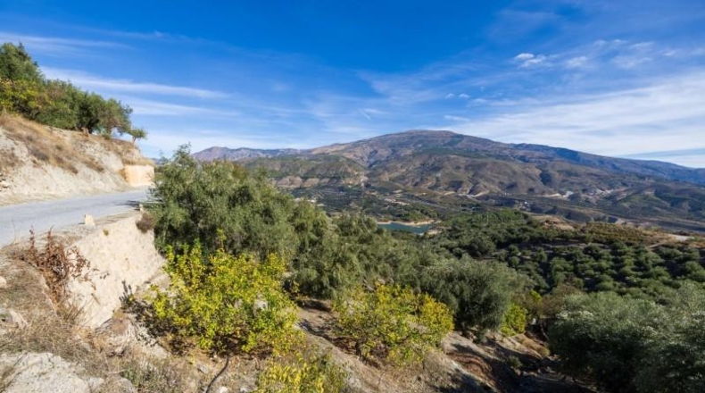 Granada - Pinos del Valle - 9018m2