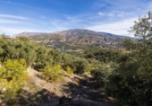 Terreno no urbanizable en venta en la España, Pinos del Valle, ref: TR414908 foto