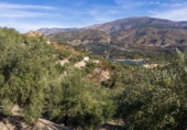 Terreno no urbanizable en venta en la España, Pinos del Valle, ref: TR414908 foto