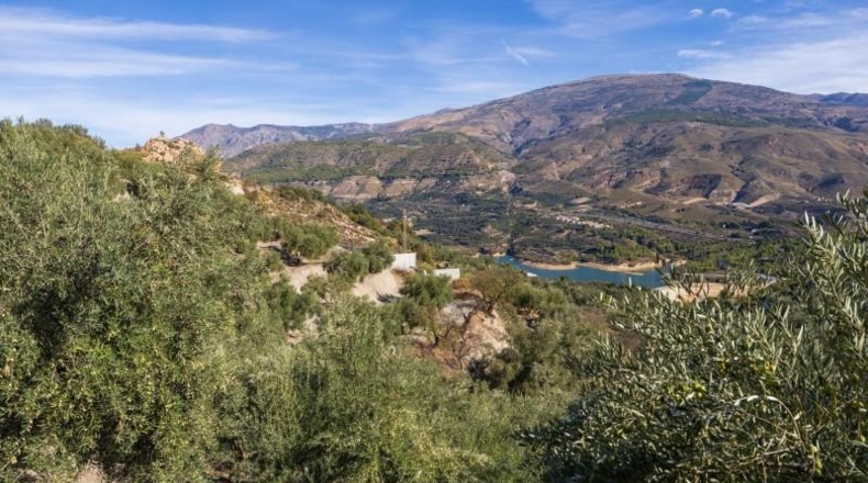 Granada - Pinos del Valle - 9018m2