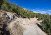 Terreno no urbanizable en venta en la España, Pinos del Valle, ref: TR414908 foto