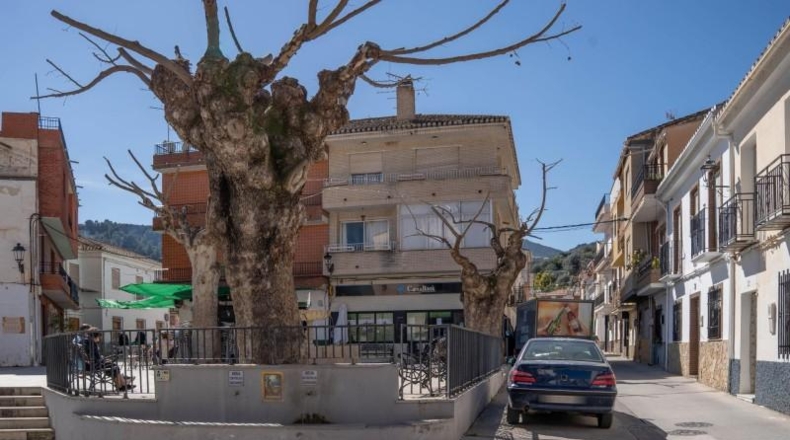 Granada - Albuñuelas - 118m2