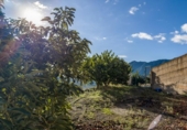 Chalet independiente con terreno en venta en la España, Vélez de Benaudalla, ref: TR399297 foto