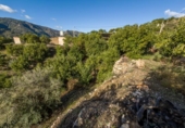 Chalet independiente con terreno en venta en la España, Vélez de Benaudalla, ref: TR399297 foto