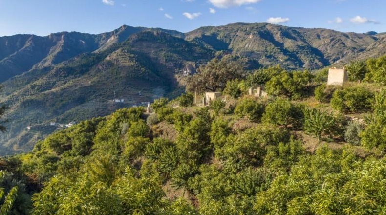Granada - Vélez de Benaudalla - 5137m2