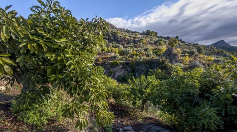 Granada - Vélez de Benaudalla - 5137m2