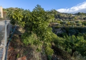 Chalet independiente con terreno en venta en la España, Vélez de Benaudalla, ref: TR399297 foto