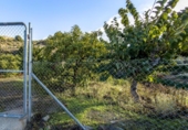 Chalet independiente con terreno en venta en la España, Vélez de Benaudalla, ref: TR399297 foto