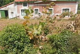 Solórzano 2000&nbsp;m²