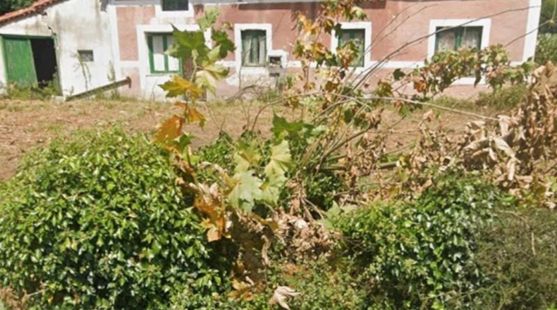 Cantabria - Solórzano - 2000m2