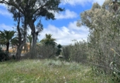 Suelo urbano en venta en la España, Santa Brígida, ref: TR241947 foto