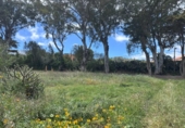 Suelo urbano en venta en la España, Santa Brígida, ref: TR241947 foto