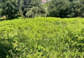 Sòl urbà en venda a la España, Vigo, ref.: TR362736 foto