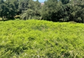 Sòl urbà en venda a la España, Vigo, ref.: TR362736 foto