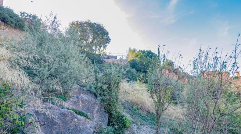 Granada - Vélez de Benaudalla - 1200m2