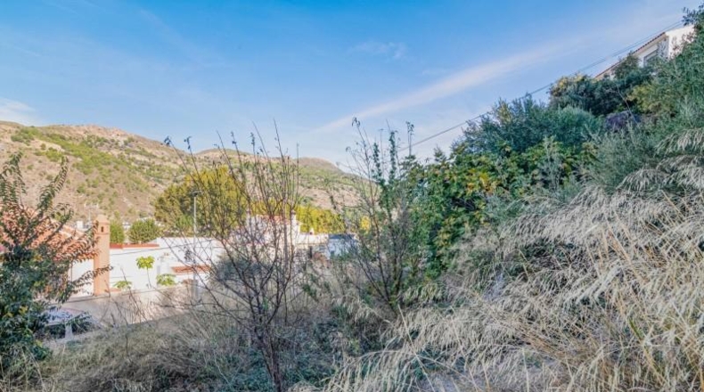 Granada - Vélez de Benaudalla - 1200m2
