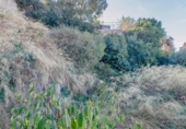 Suelo urbano en venta en la España, Vélez de Benaudalla, ref: TR414913 foto