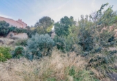 Suelo urbano en venta en la España, Vélez de Benaudalla, ref: TR414913 foto