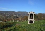 Finca rústica en venta en la España, Cangas, ref: TR355945 foto