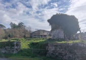 Finca rústica en venta en la España, Cangas, ref: TR355945 foto