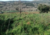 Finca rústica en venta en la España, Cangas, ref: TR355945 foto