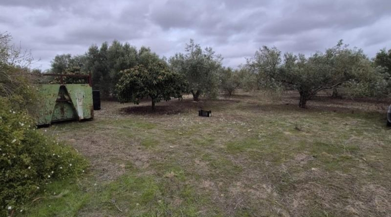 Кадис - Arcos de la Frontera - 7500m2