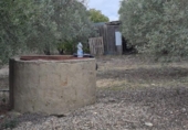 Detached villa with land for sale on España, Arcos de la Frontera, ref: TR361048 photo