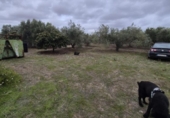 Detached villa with land for sale on España, Arcos de la Frontera, ref: TR361048 photo