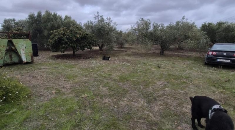 Кадис - Arcos de la Frontera - 7500m2